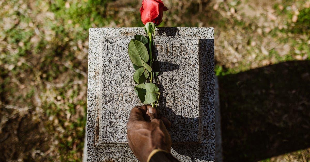 Campbell Hatton rend hommage à son père Ricky