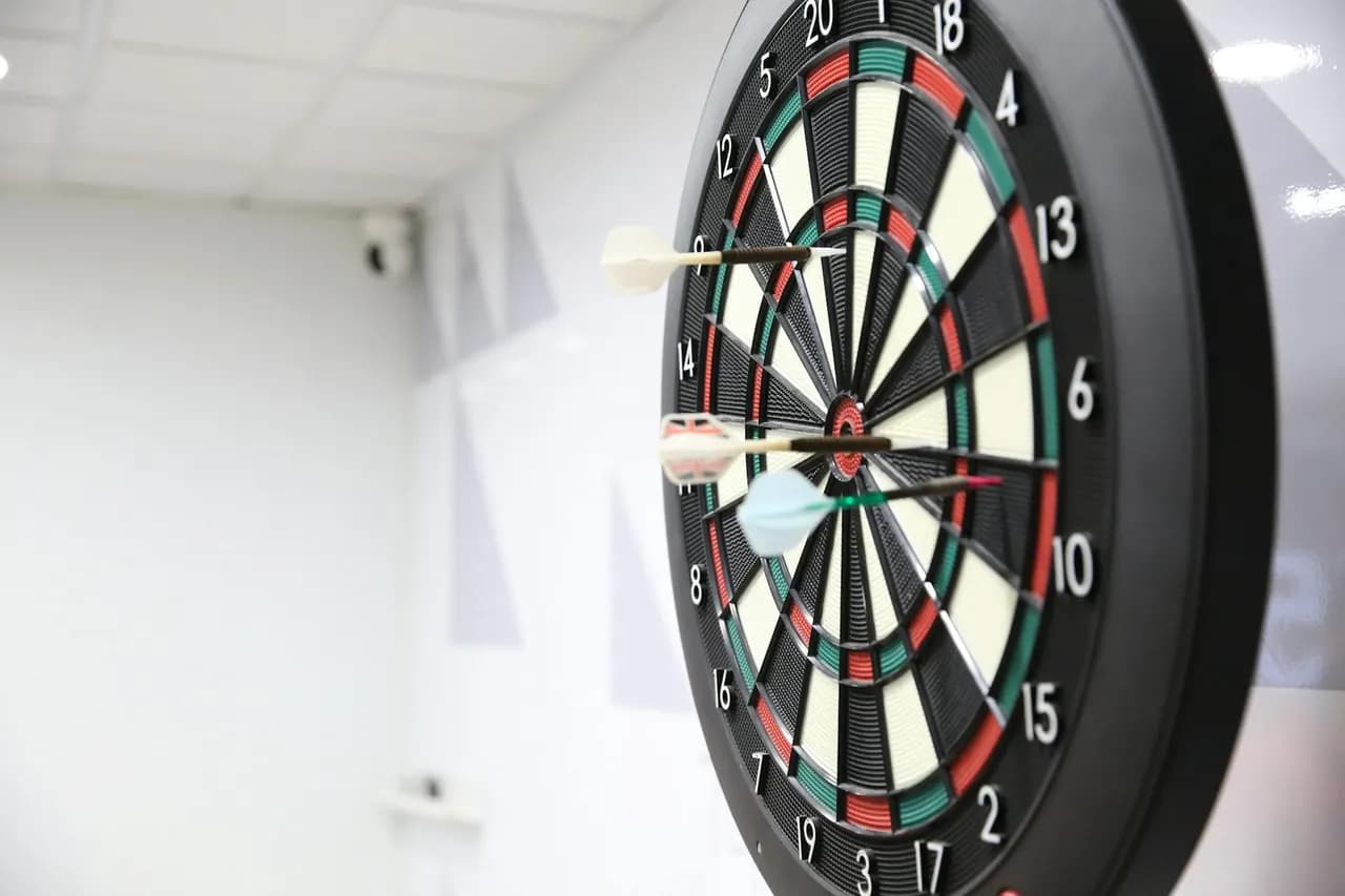 Suljovic s'impose devant son public à Vienne